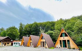 Casa Ursu